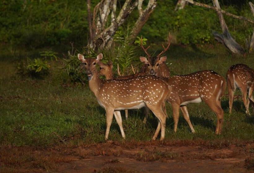 膳宿费 Bhawana Canal View Resort