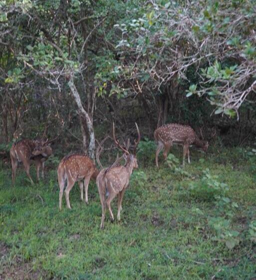 ペンション Bhawana Canal View Resort