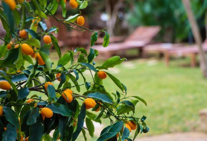 펜션 Casita Garden&spa