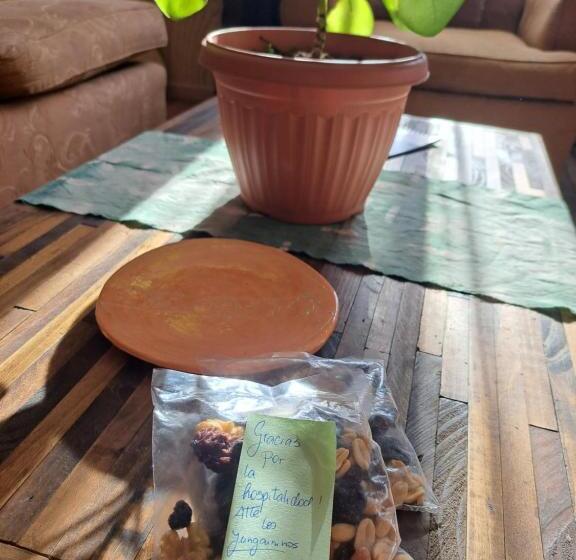 بنسيون Hostal Y Turismo Balmaceda