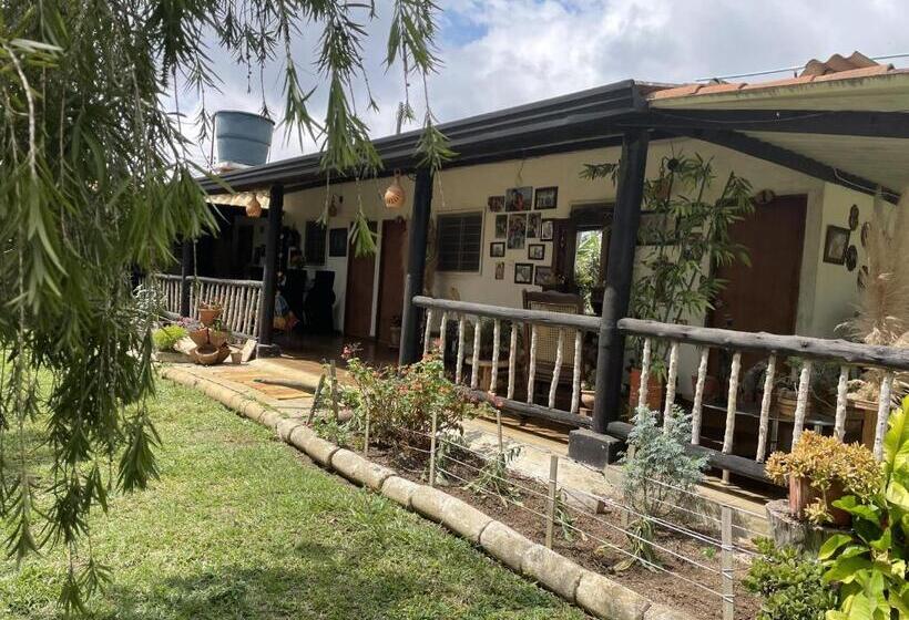 پانسیون Hostal Greenlandomesa