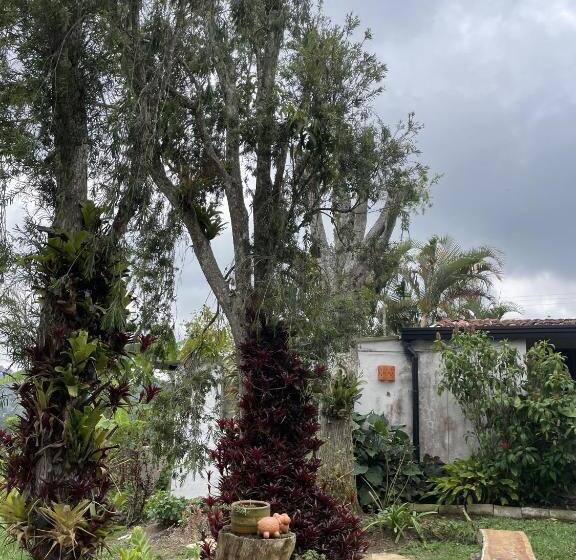 פנסיון Hostal Greenlandomesa