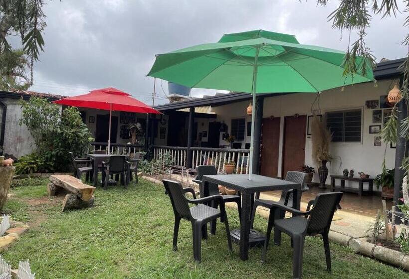 פנסיון Hostal Greenlandomesa