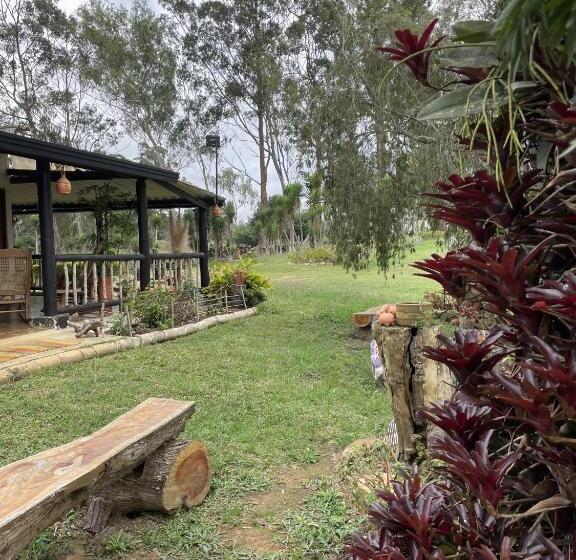 פנסיון Hostal Greenlandomesa