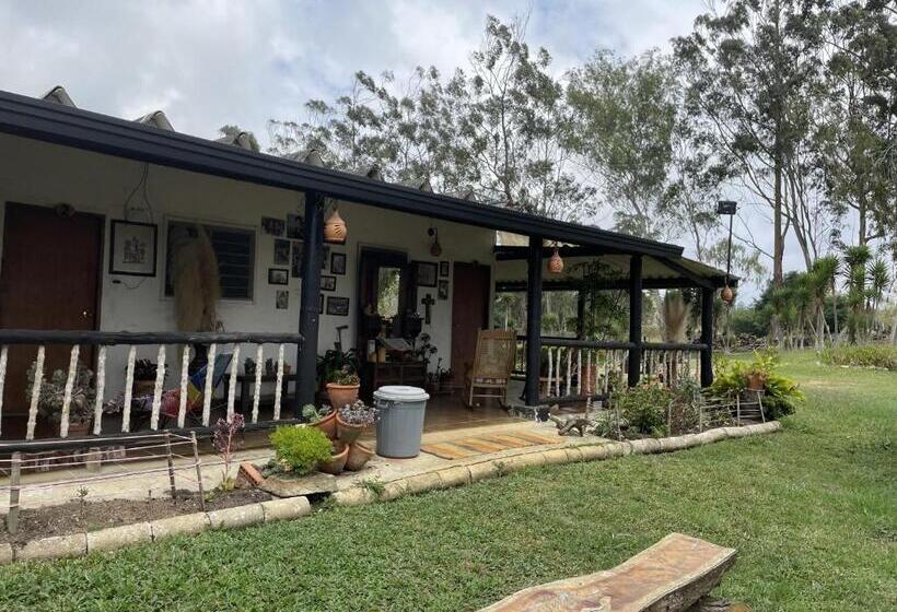 פנסיון Hostal Greenlandomesa