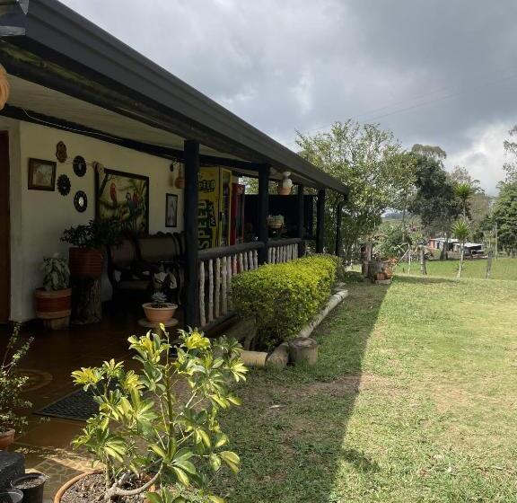 پانسیون Hostal Greenlandomesa