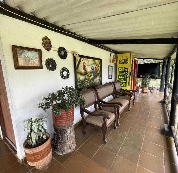 פנסיון Hostal Greenlandomesa