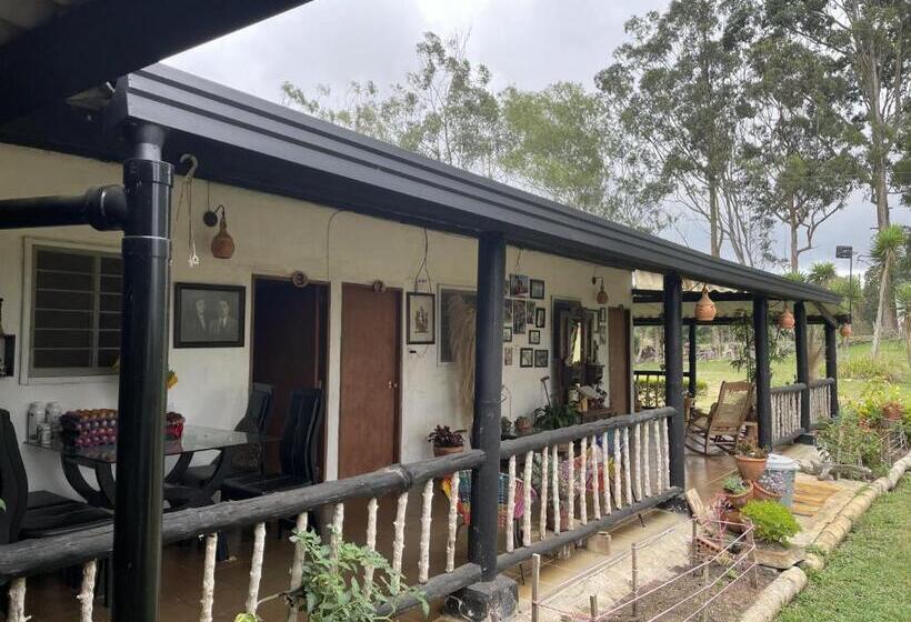 פנסיון Hostal Greenlandomesa