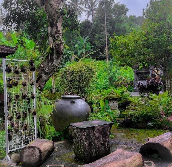 펜션 Mesari Cottage Guest House