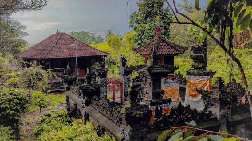 פנסיון Mesari Cottage Guest House