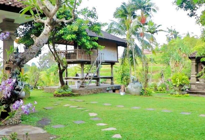 פנסיון Mesari Cottage Guest House