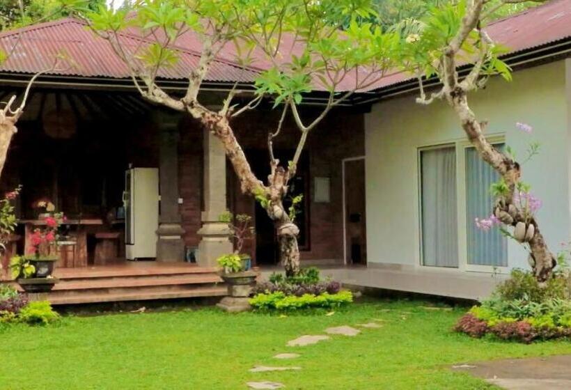 פנסיון Mesari Cottage Guest House