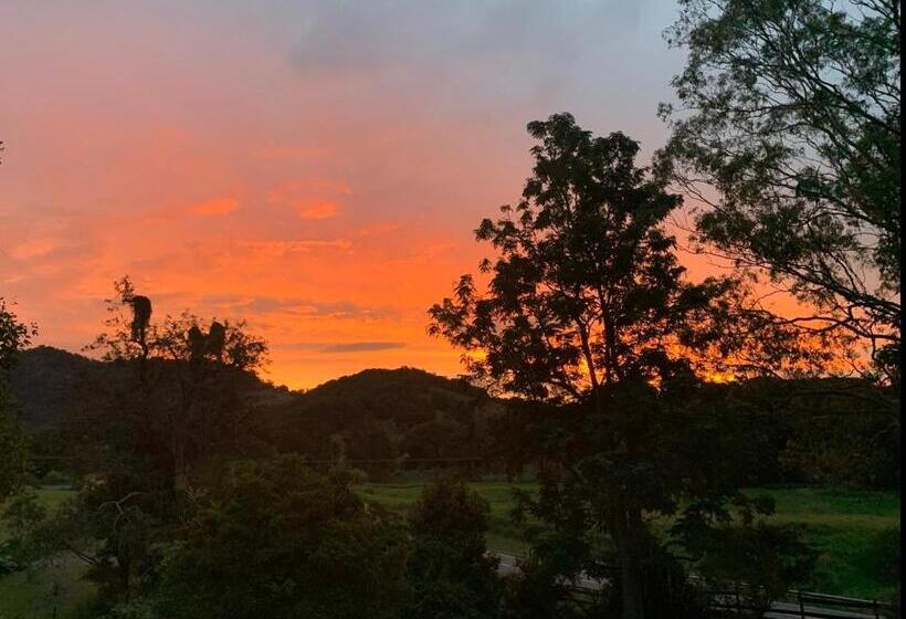 פנסיון Tweed Hinterland Eco Cabin