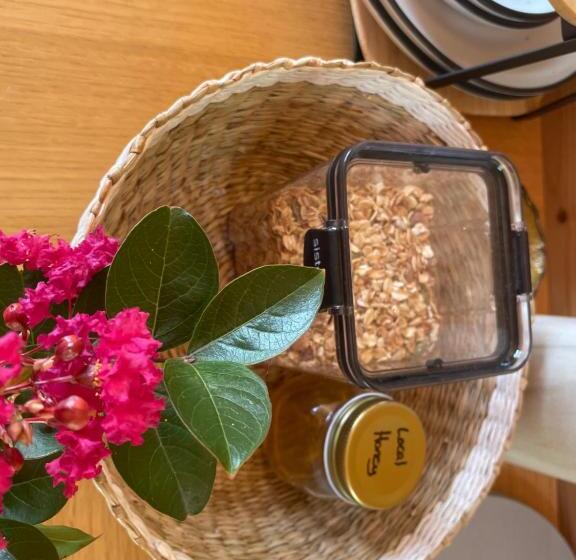 פנסיון Tweed Hinterland Eco Cabin