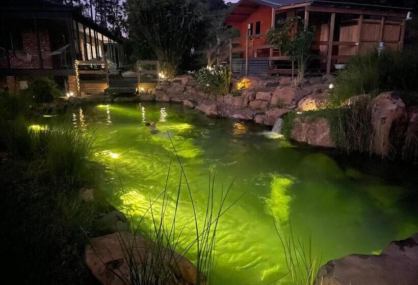 פנסיון Tweed Hinterland Eco Cabin