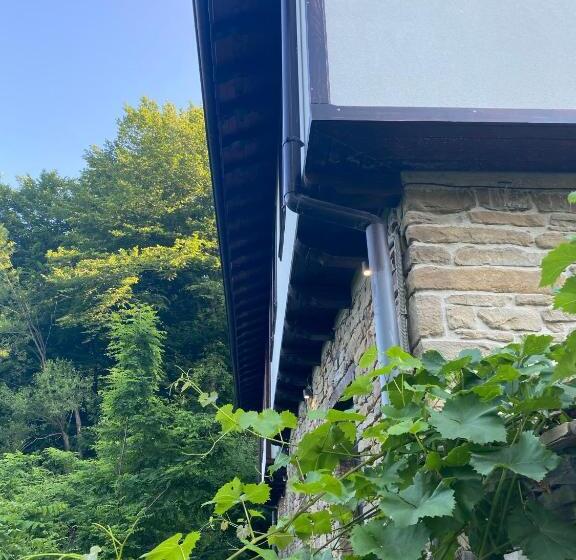 بنسيون Verta House