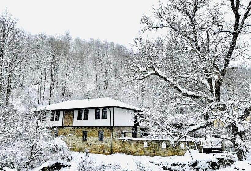 بنسيون Verta House