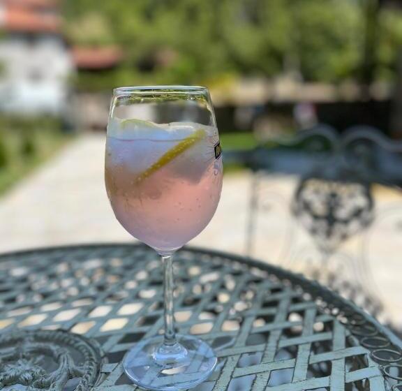 بنسيون Verta House