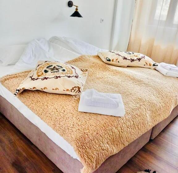 بنسيون Verta House