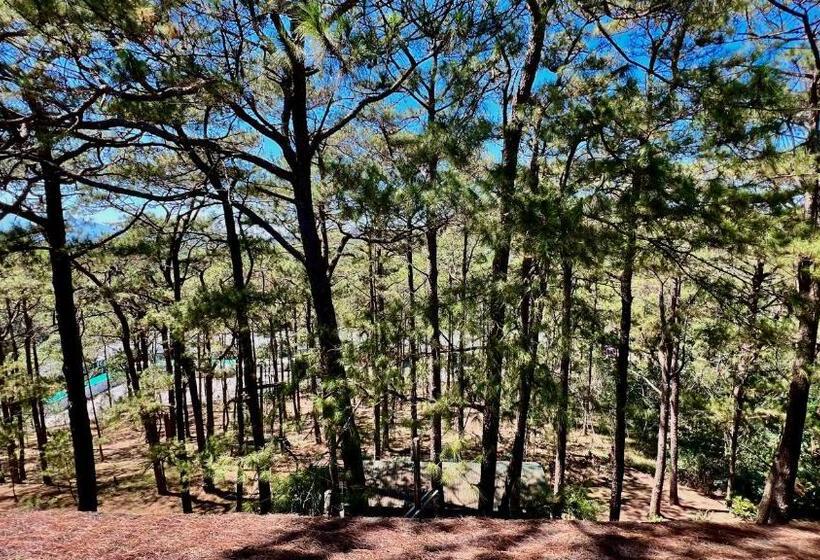 Relaxing Forest View At Forest Lodge Hotel, Cjh Private Unit 554