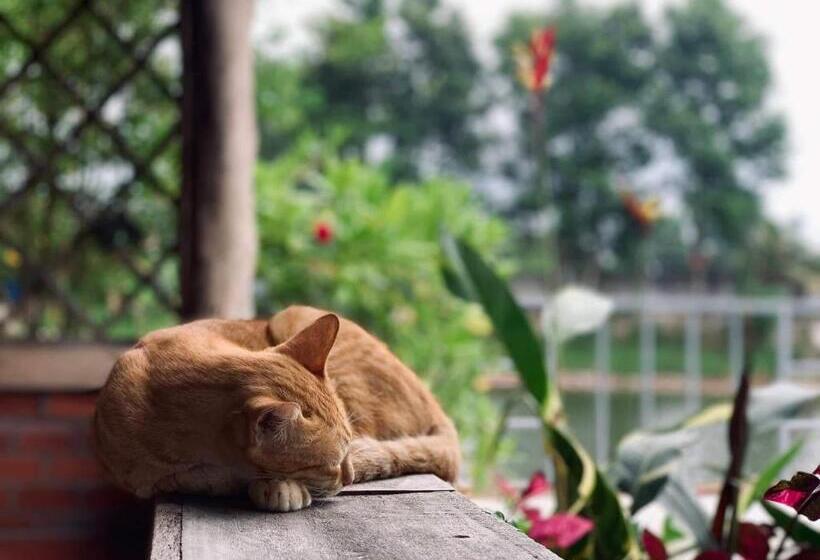 استراحتگاه Tina Lakeside Ao đôi Phước Hải