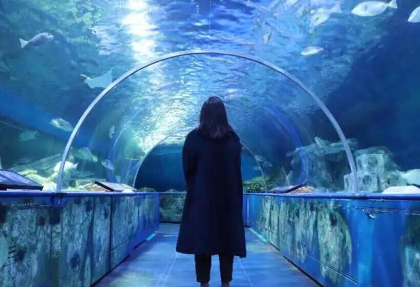 Tokyo Time Traveler 駅徒歩5分 暮らすように泊まれるホテル