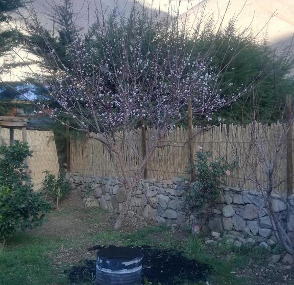 住宿加早餐  Hostal Acuariano Piscoelqui