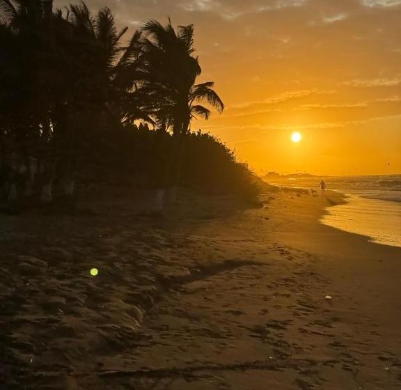 تختخواب و صبحانه Las Dunas Beach Guest House