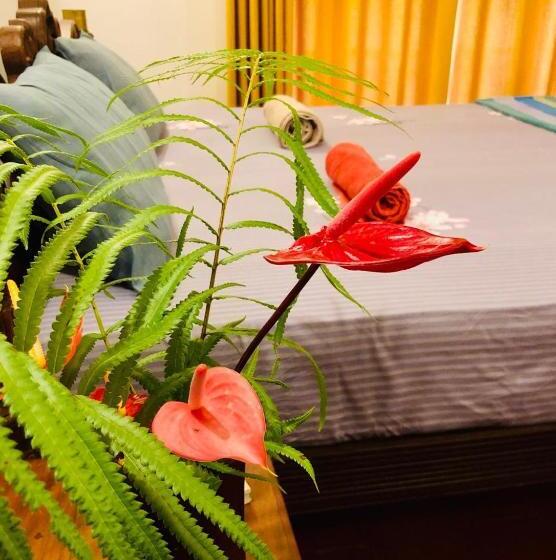 Bed and Breakfast Saman Resort Surfers Paradise