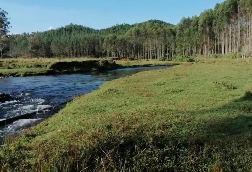 فندق Central Tamesis