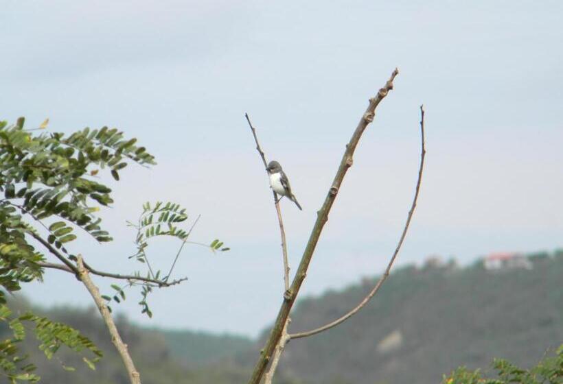 Отель Centro Vacacional Recreasana