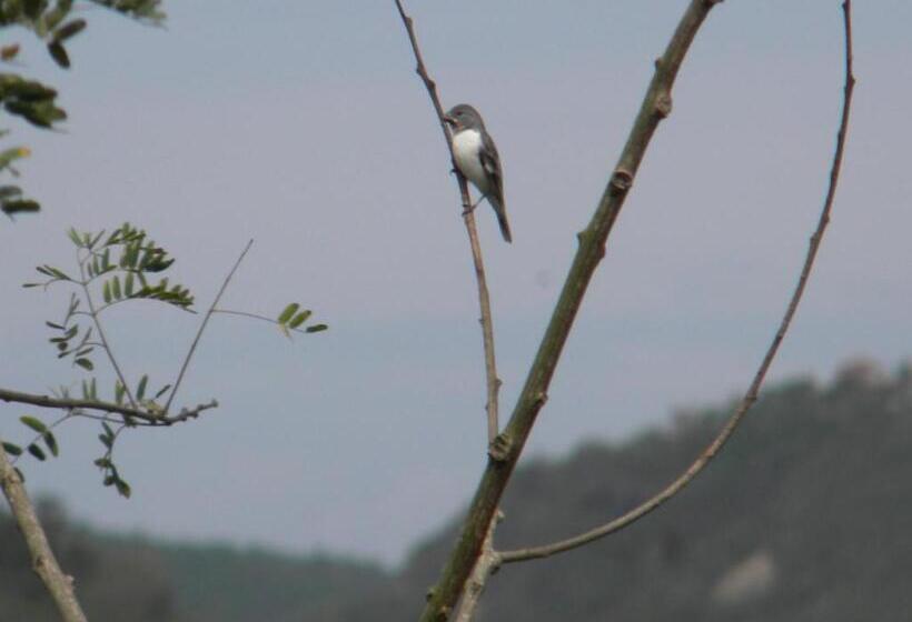 Отель Centro Vacacional Recreasana