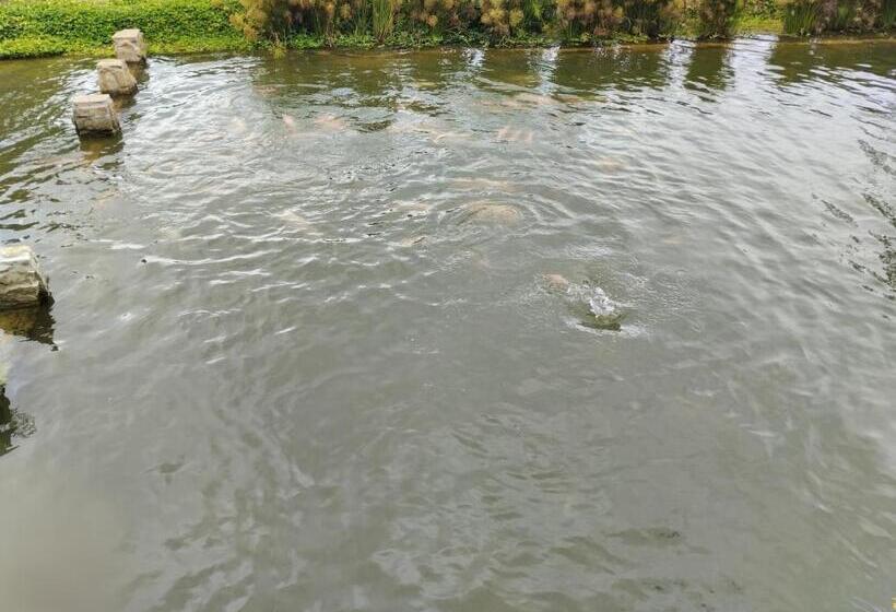 בית מלון כפרי Ecoh Elgranmirador