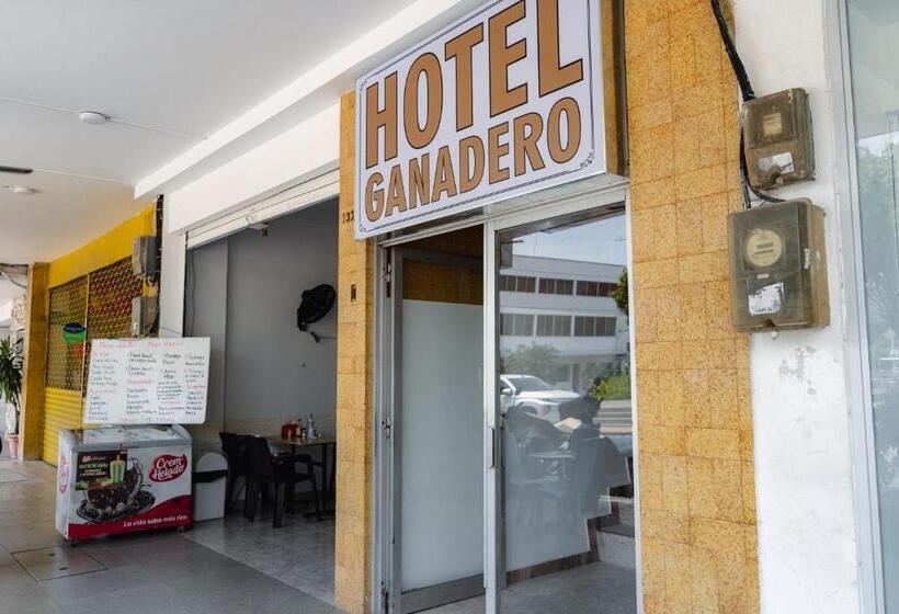 هتل Ganadero