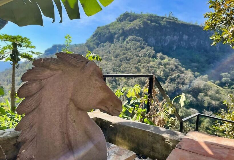 בית מלון כפרי La Palapa & Posada Mía