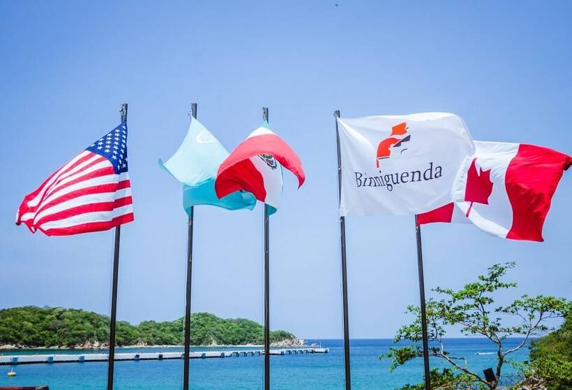 فندق Nirú Ocean Suites By Binniguenda