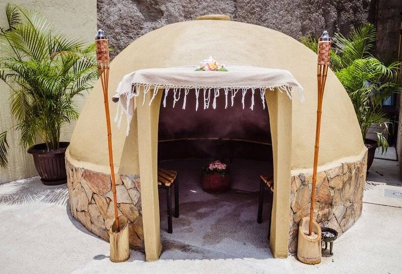 فندق Nirú Ocean Suites By Binniguenda