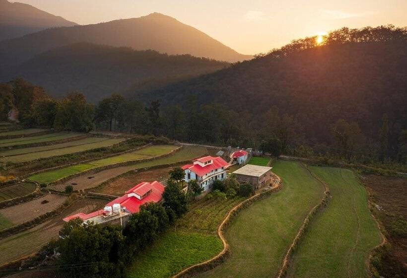 Отель Pitaara Cottages