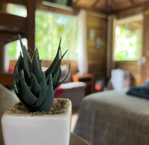 Отель Pousada Rupestre