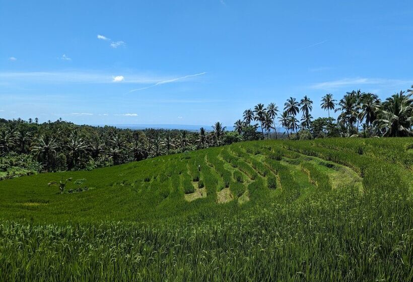 בית מלון כפרי Puri Dajuma Terrace Eco Lodge & Spa