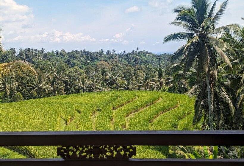 בית מלון כפרי Puri Dajuma Terrace Eco Lodge & Spa