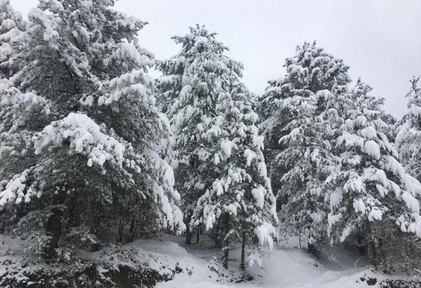 Kazdağ Göknar Otel