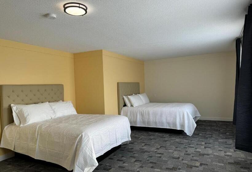 فندق على الطريق The Viking Inn