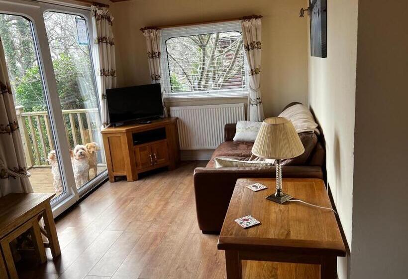 Old Mill Retreat, By River/sea/country Nr Barmouth Dogs