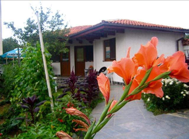 بنسيون къща за гости мария гроздева