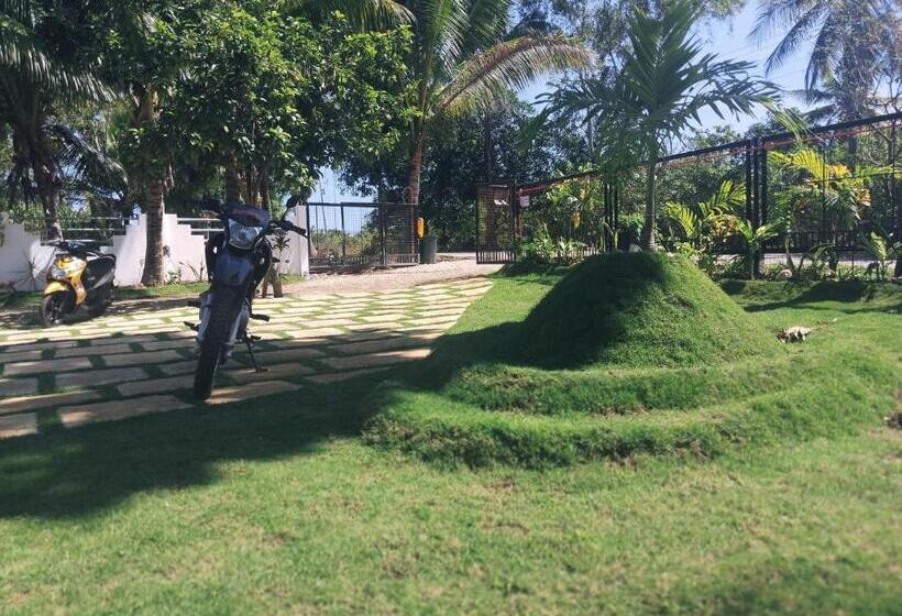 膳宿费 Blue Pagoda Rooms