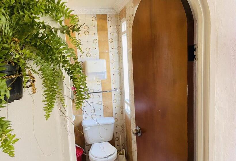 膳宿费 Boutique Tesoro