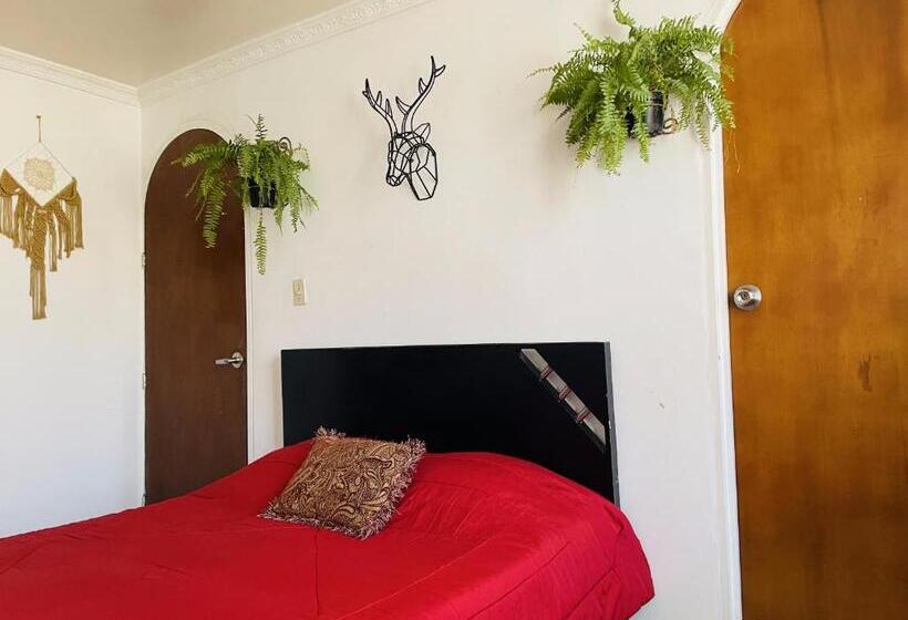 膳宿费 Boutique Tesoro