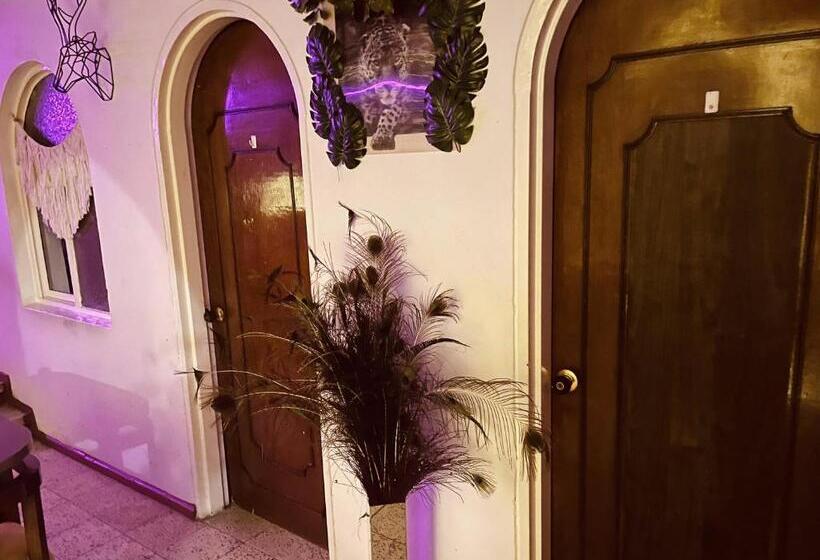 膳宿费 Boutique Tesoro