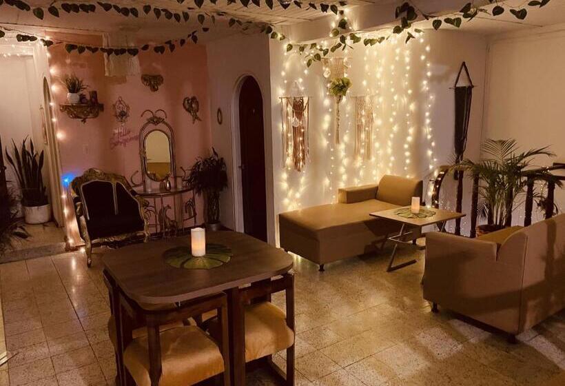 膳宿费 Boutique Tesoro